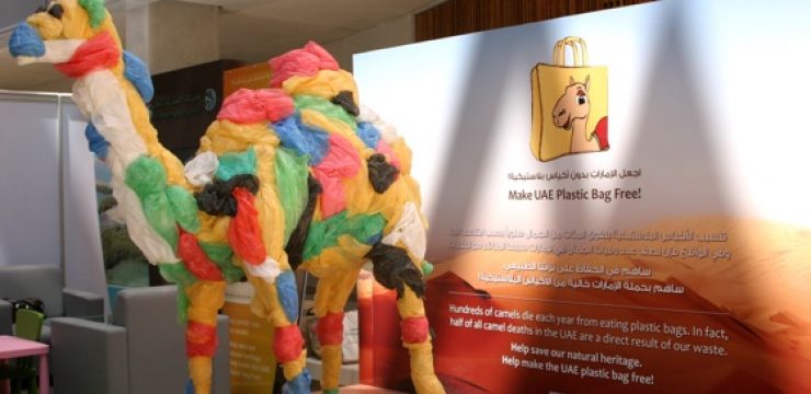 uae-camel-plastic.jpg