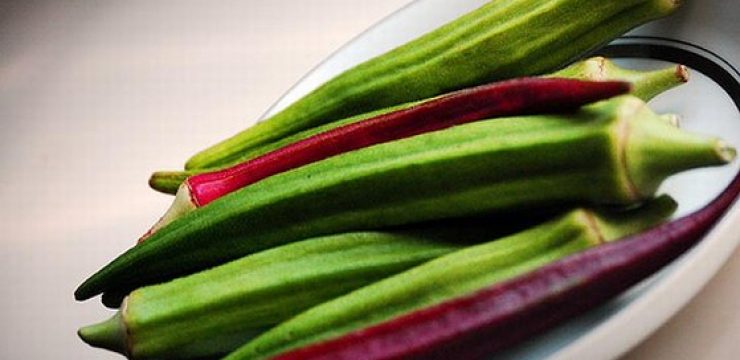559_okra.jpg