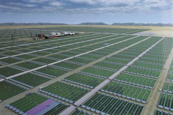 Origin Oils Algae Should Inspire More Mid East Biofuels