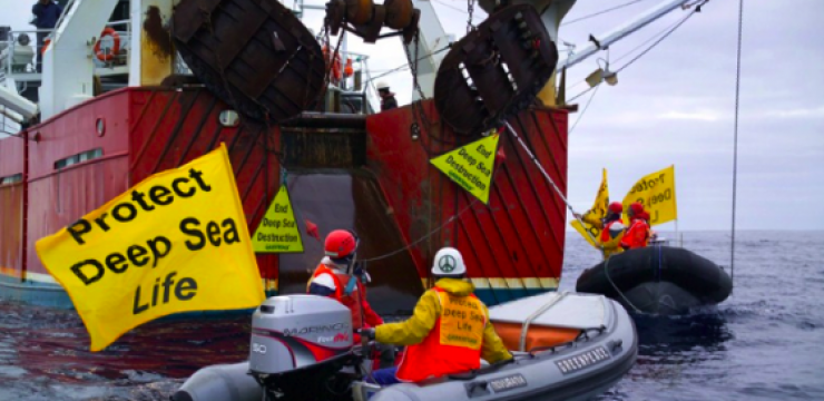 bottom-trawling-greenpeace.png