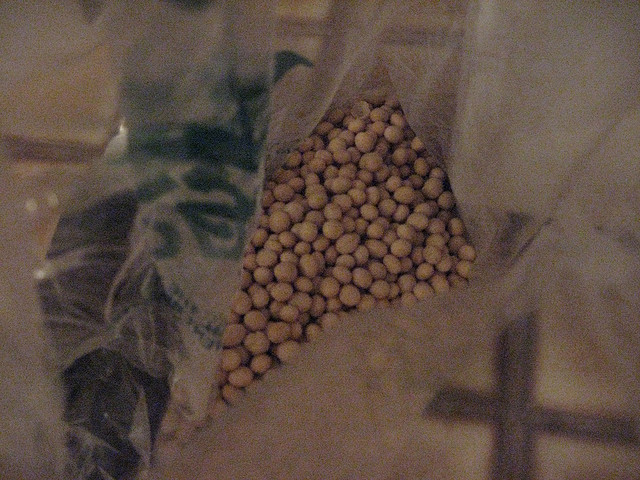 The Explosive Truth About Veggie Burgers