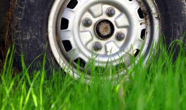 “We Are Not A PR Stunt” – Marine Protection Organisation On Corporate Sponsorship