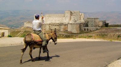 Donkeys, Not DSL to Get Syria’s News Out