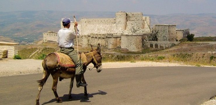 donkey-syria-crak-des-chevaliers.jpg