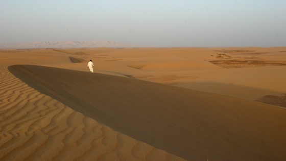 desert, dunes, egypt, eco-tourism, sustainable tourism