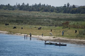 Egypt Could Be On The Brink Of Famine