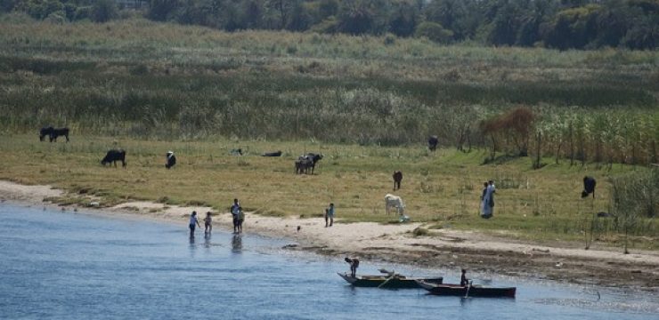 farming-upper-egypt.jpg