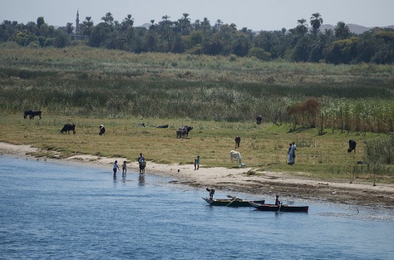desertification, agriculture, egypt