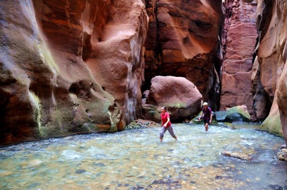 biodiversity, biosphere reserve, UNESCO, Jordan