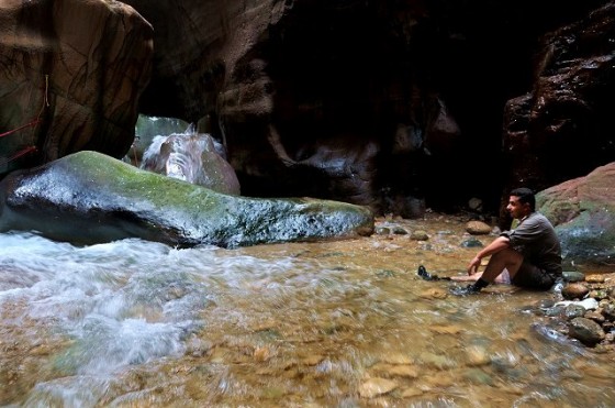 biodiversity, biosphere reserve, UNESCO, Jordan