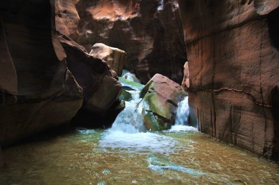 Jordan, biodiversity, UNESCO, biosphere reserve