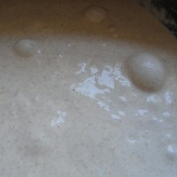 pita whole wheat recipe