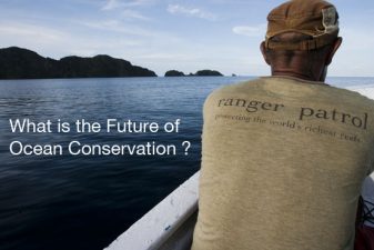 Paddle For The Planet This World Environment Day