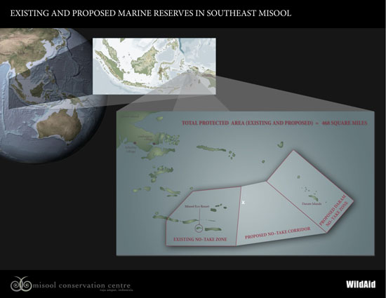 marine protected areas, marine conservation, pollution, overfishing, acidification