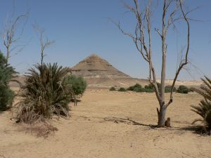 Desertification In Egypt Is Putting Food Supplies At Risk