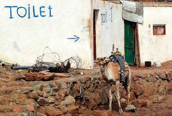 egypt irrigation sewage