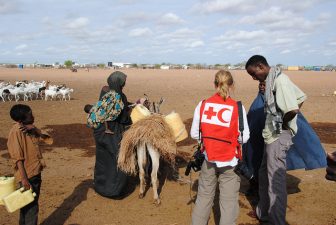 The Horn of Africa Famine: A Cautionary Tale for MENA