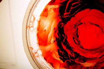 Human-Based Gelatin? Yum!