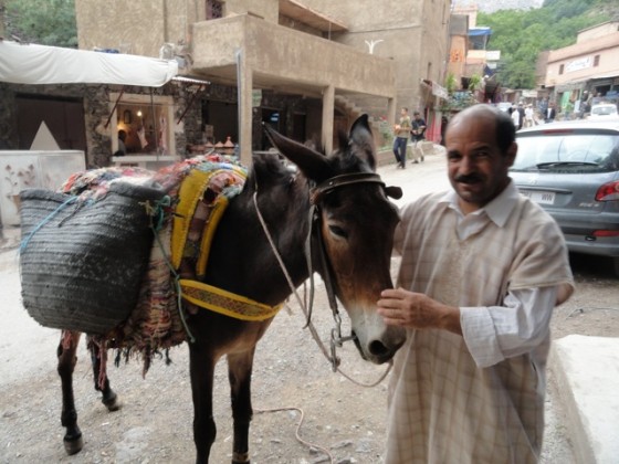 kasbah atlas mountains morocco