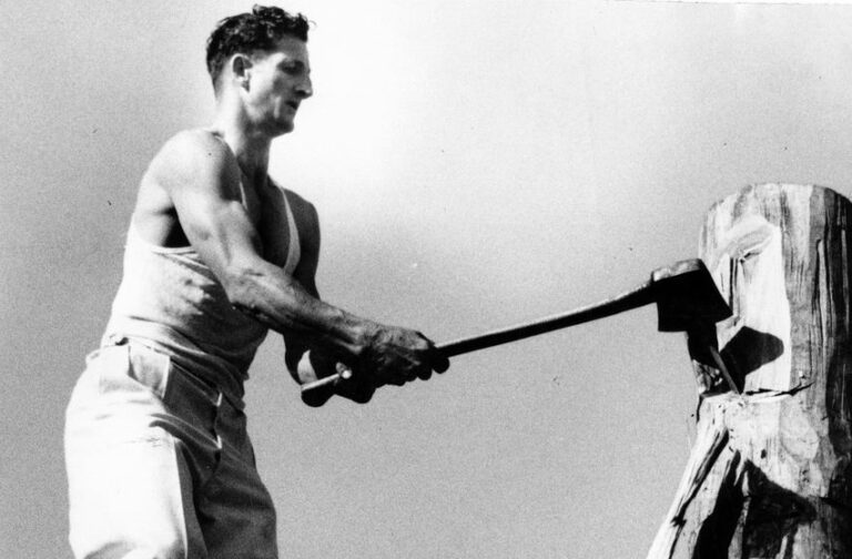 Tree-trimming Mob Uncovered in Israel