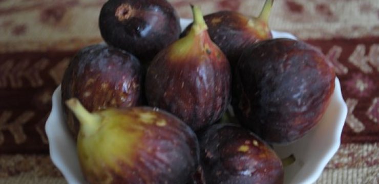 559_fresh-figs.jpg