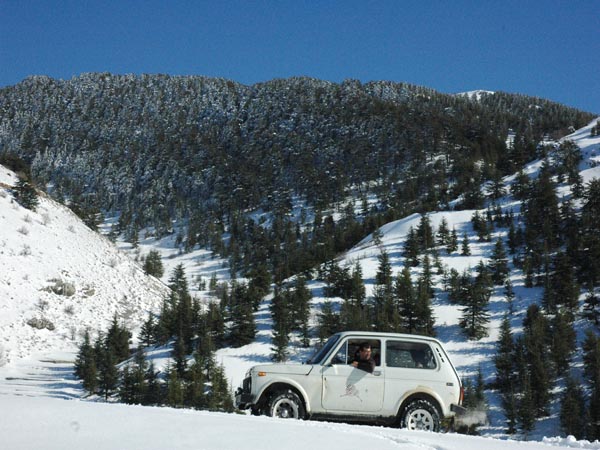 Landmines and Eco-Tourism Protect Lebanon’s Vulnerable Cedar Forests