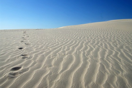 "sustainable city desert"