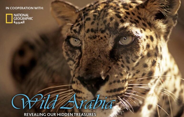 Art Exhibition To Showcase Arabia’s Wild Side