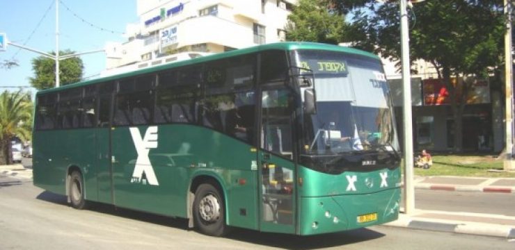 800px-Egged_bug_in_Afula_01.jpg