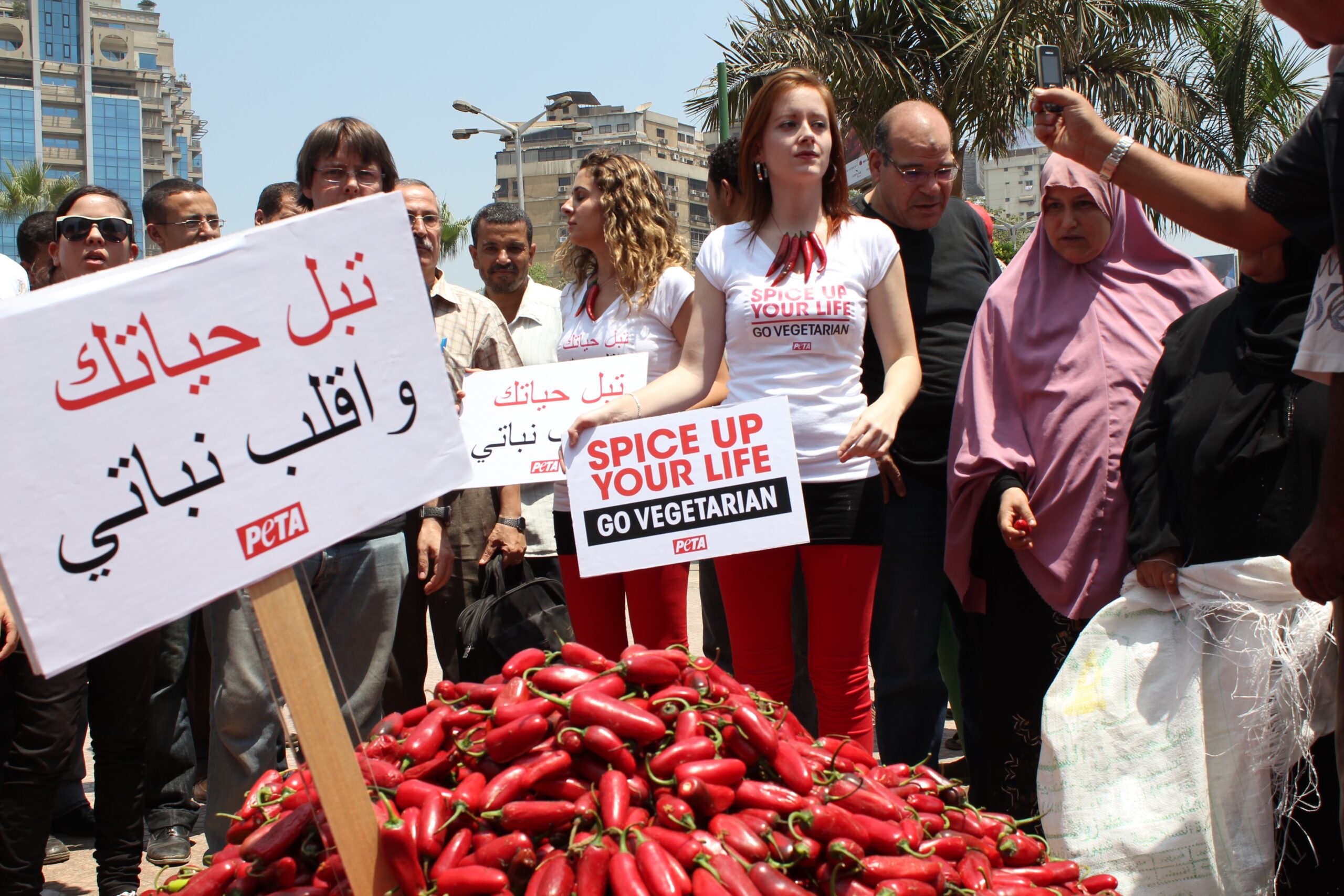 PETA in Egypt. Like Greenpeace, they have local networks around the world