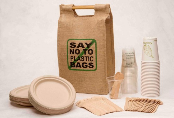 "ecological picnic set"
