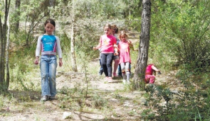 Israel's Ramot Menashe Woodland
