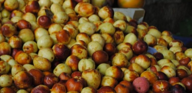 jujube-fruit.jpg