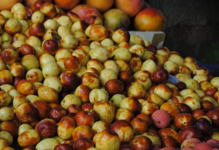 September seasonal fruits and vegetables