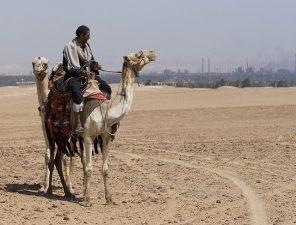 80% of Middle East and Africa Concerned About Climate Change