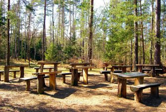 School’s In: Turkish Teachers Learn How To Teach Ecoliteracy