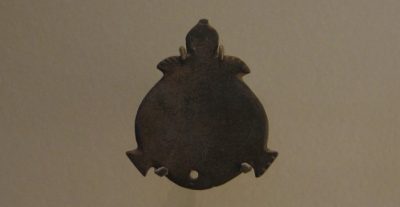 Rare 90-Year-Old Sea Turtle Spared from Egyptian Supper