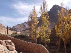 Egypt’s Sekem biodynamic farm a Sustainability World Leader