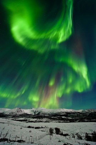 valentines-day-aurora-borealis