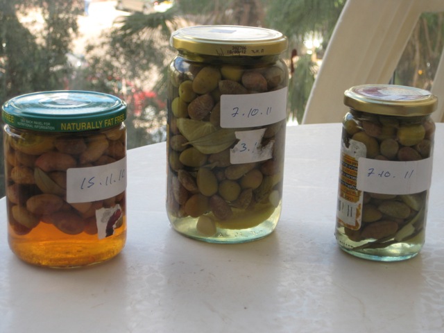 olives in a jar fermenting