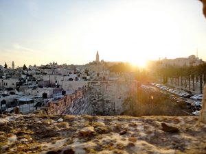 Energy Experts Tell Arab World ‘Solar is the Future’