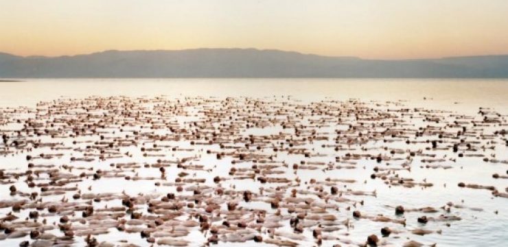 naked-dead-sea-israel-spencer-tunick.jpg
