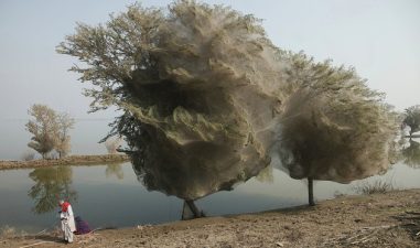 Meet the “Miss Pakistan” of Renewable Energy