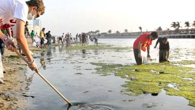 A Thousand Student Scouts Clean Jeddah Shores