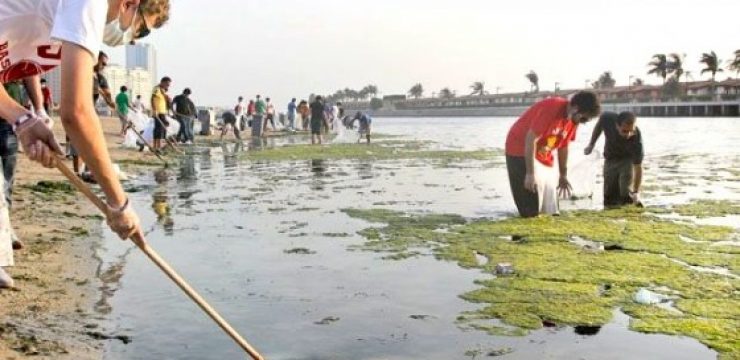 saudi-beach-clean-up.jpeg