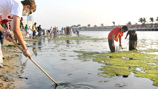 A Thousand Student Scouts Clean Jeddah Shores