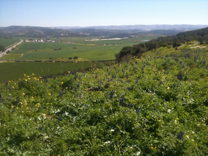 Ex-Shell Scientist Insists Israeli Oil Shale Is Still A Possibility