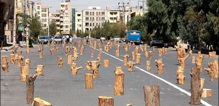 treehuggers-iran-deforestation-1.jpg