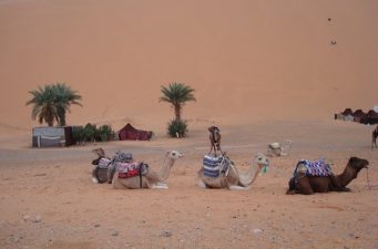 Moroccan Poor Leapfrog Fossil Fuels – Switch on the Sun