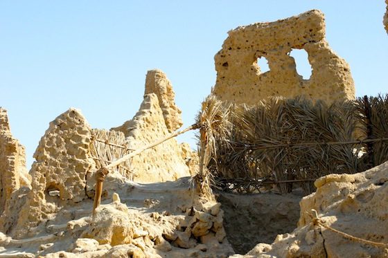 eco-tourism, green building, siwa, oasis, egypt, desert, water shortages, sustainable agriculture, sustainable tourism